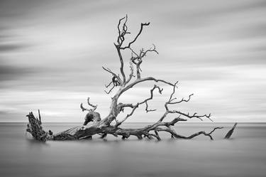 Original Black & White Landscape Photography by Patrick Lynch