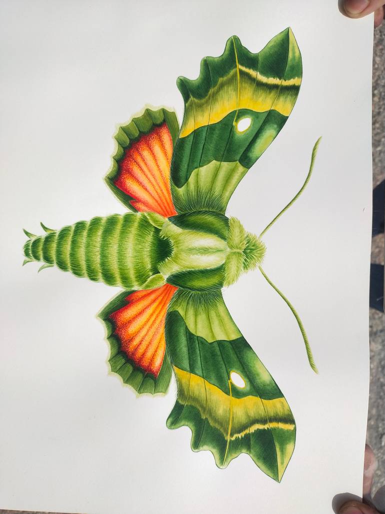 Original Illustration Botanic Painting by Tetiana Vlasenko