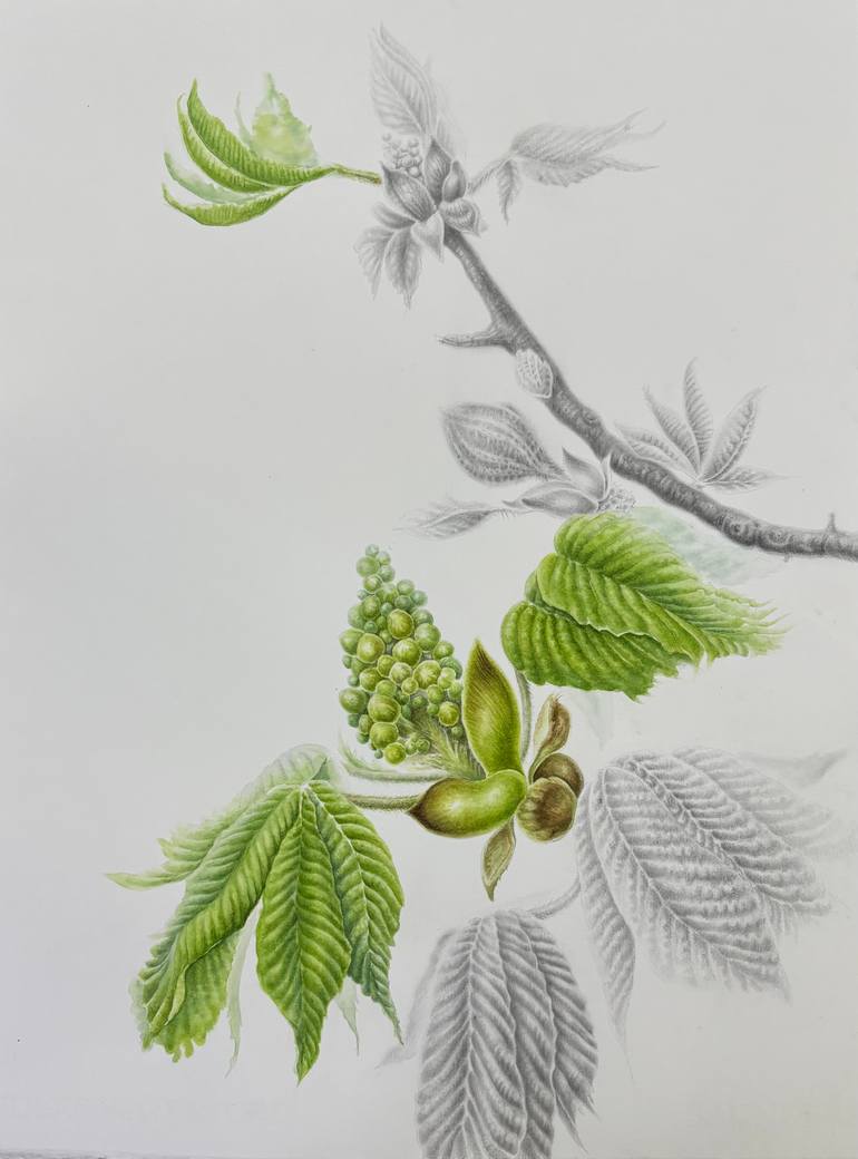 Original Contemporary Botanic Mixed Media by Tetiana Vlasenko