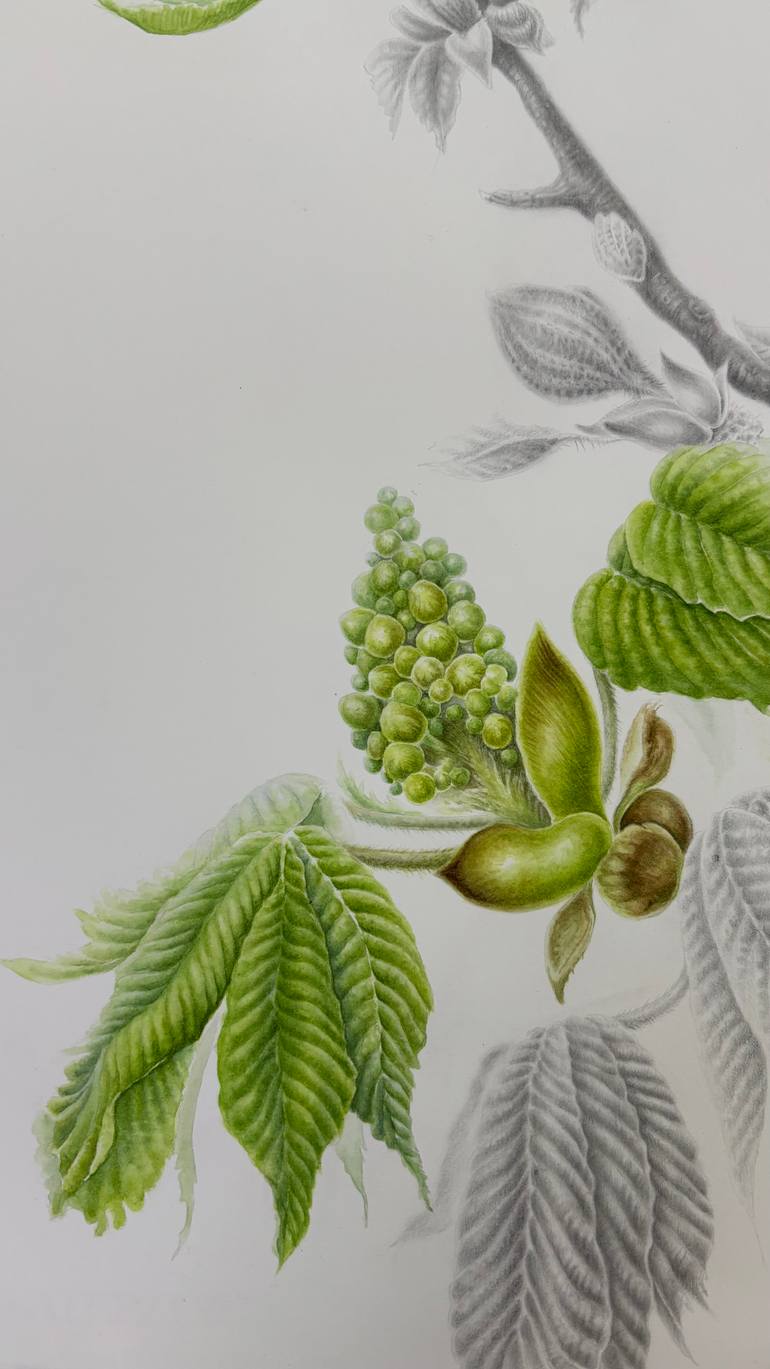 Original Contemporary Botanic Mixed Media by Tetiana Vlasenko