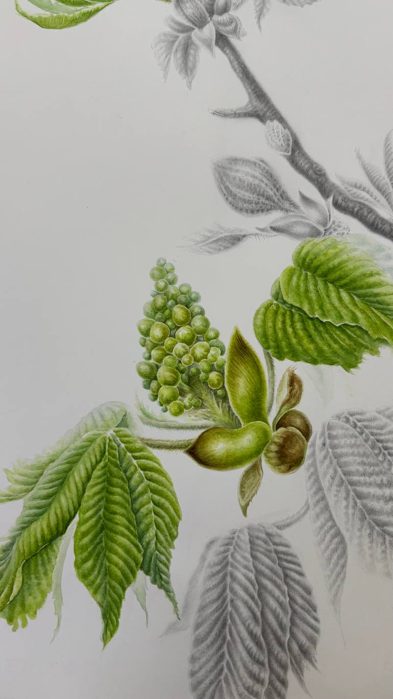Original Contemporary Botanic Mixed Media by Tetiana Vlasenko
