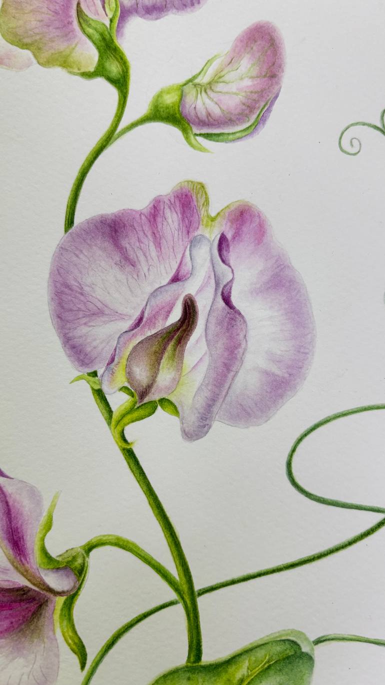 Original Color Field Painting Botanic Painting by Tetiana Vlasenko