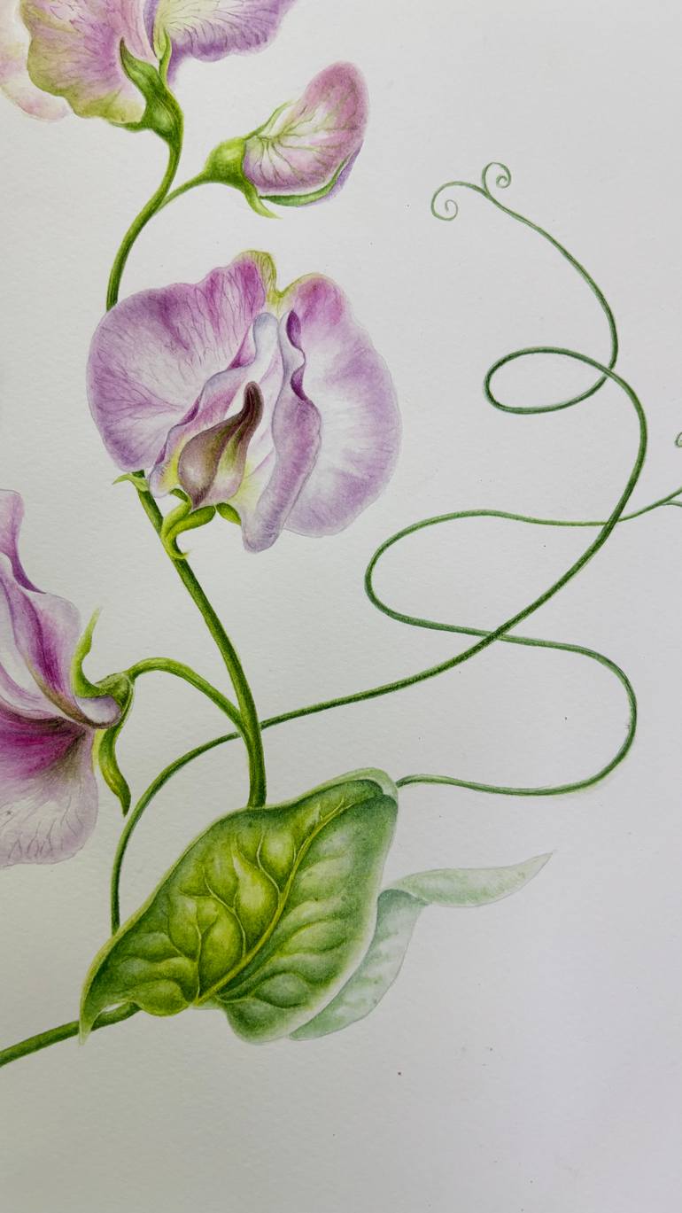 Original Color Field Painting Botanic Painting by Tetiana Vlasenko