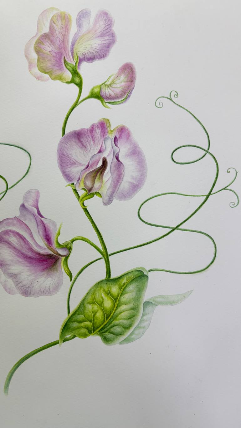 Original Color Field Painting Botanic Painting by Tetiana Vlasenko