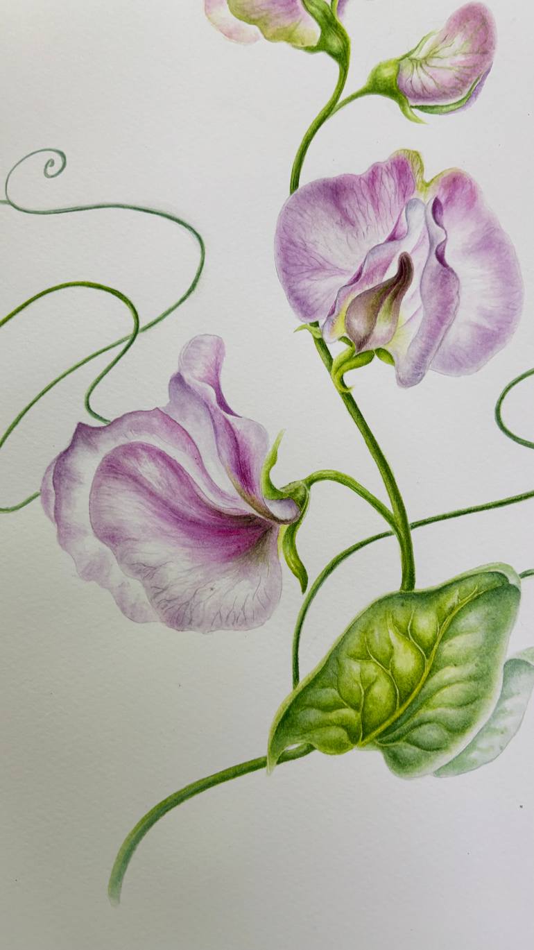 Original Color Field Painting Botanic Painting by Tetiana Vlasenko