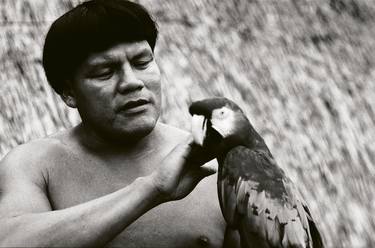 Xingu Macaw 2 thumb