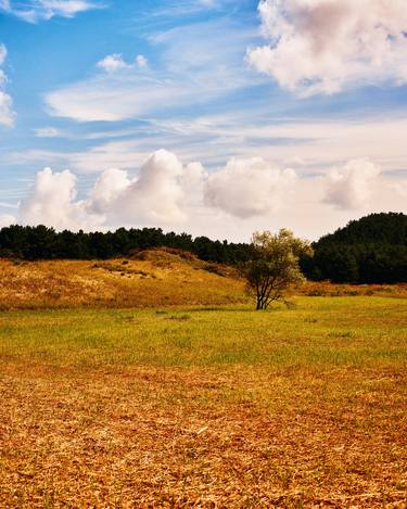 Print of Landscape Photography by Simpson Kim