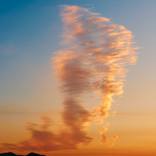 Collection Curator Picks: Photo Prints