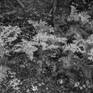 view additional image 1