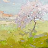 Collection Spring Landscapes