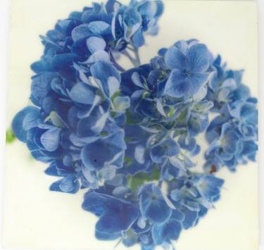 Original Floral Mixed Media by Debra Zumstein