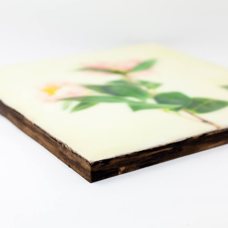 Original Contemporary Botanic Mixed Media by Debra Zumstein
