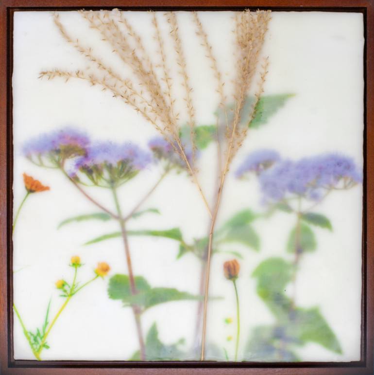 Original Contemporary Floral Mixed Media by Debra Zumstein