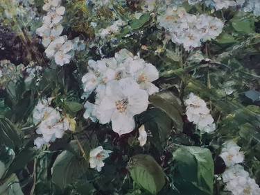 Original Fine Art Floral Paintings by Alexandr Kulgeyko