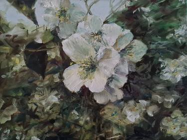Original Impressionism Garden Paintings by Alexandr Kulgeyko