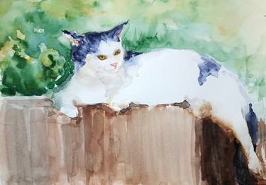 Original Impressionism Cats Paintings by Asha Shenoy