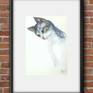 Kuppu the tabby in a virtual frame