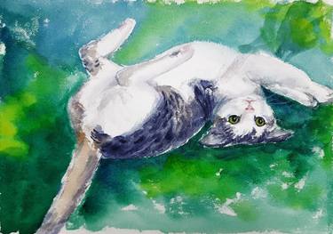 Original Figurative Cats Paintings by Asha Shenoy