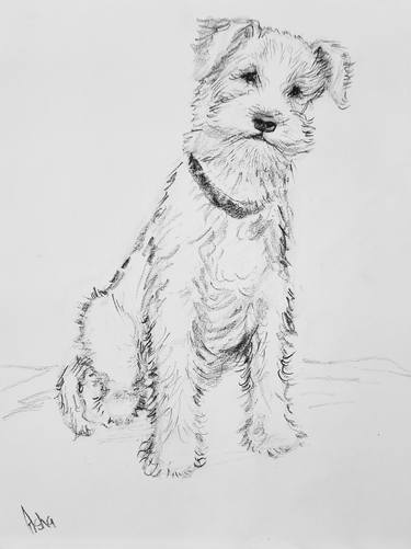 Wire fox Terrier dog sketch thumb