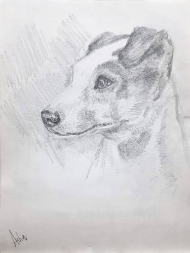Print of Animal Drawings by Asha Shenoy