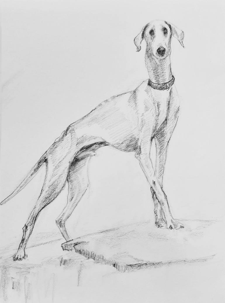 Original Figurative Animal Drawing by Asha Shenoy 