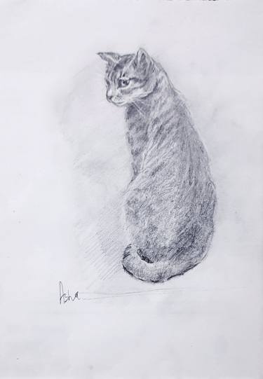 Original Illustration Cats Drawings by Asha Shenoy
