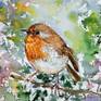 Closeup of robin painting