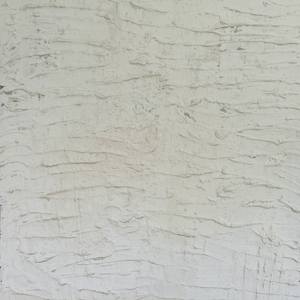 Noon Moon 20 - 50