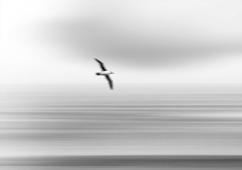 Original Photorealism Nature Photography by Lenticular Photo Art