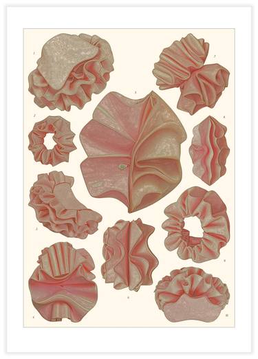 Original Surrealism Botanic Printmaking by Vanda Berecz