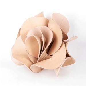 Collection New Abstraction