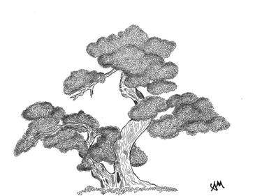 Nature Pencil Drawing by endritsmakiqiart on DeviantArt-saigonsouth.com.vn