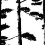 view additional image 1