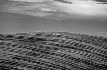 "Dunes" study n.5 , Val D'Orcia, Tuscany, Italy – 2022 thumb