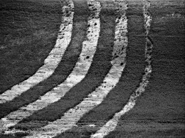 "Stripes", Val D'Orcia, Tuscany, Italy – 2022 thumb