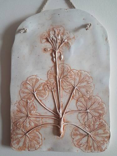 Pelargonium zonale Botanical bas-relief thumb