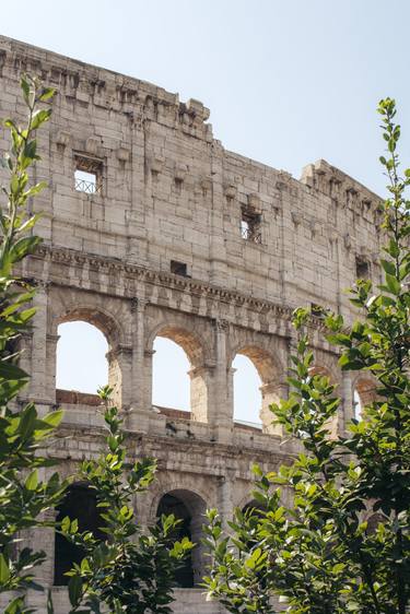 Roman Colosseum and Nature thumb