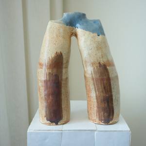 Leg Vessel