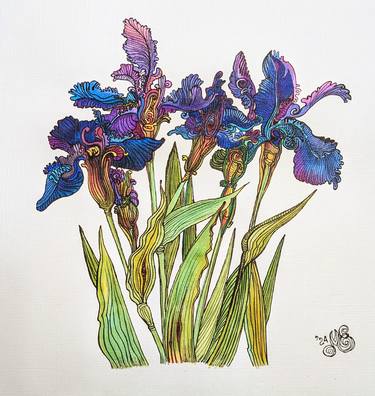 Print of Floral Drawings by Elena Karlson