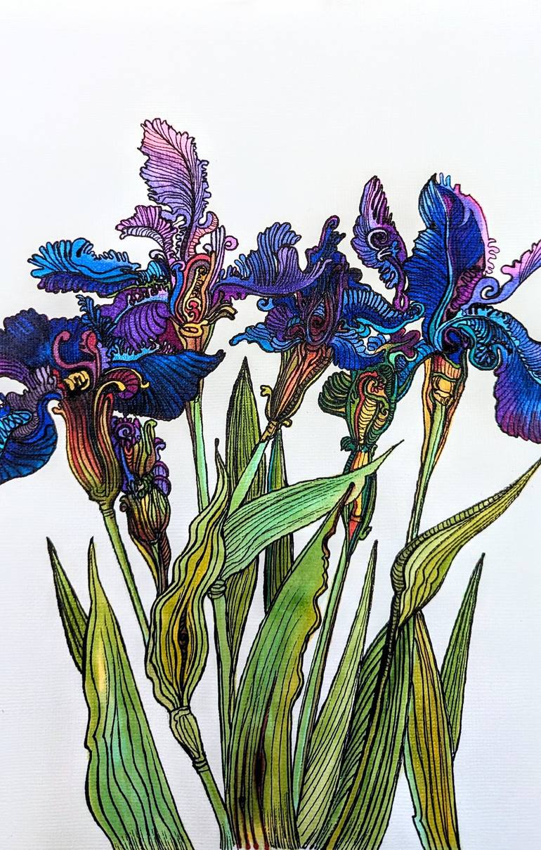 Original Illustration Floral Drawing by Elena Karlson