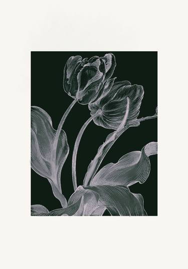 Print of Floral Digital by Razana Tariq