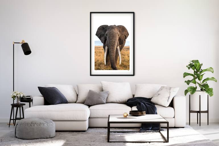 Original Black & White Animal Photography by Matthew Williams-Ellis