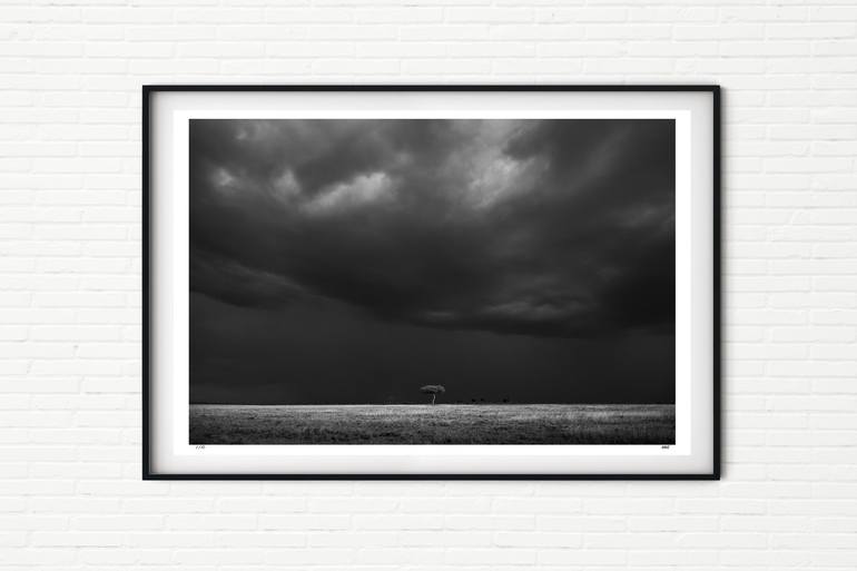 Original Black & White Landscape Photography by Matthew Williams-Ellis