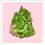 Growth & Prosperity (Green Lettuce) (small) by N A Vague