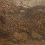 Soil by Virginia Castillo