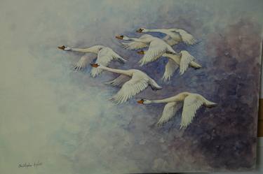 Flight of the Swans thumb