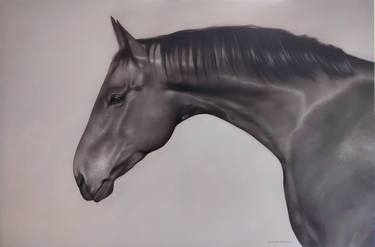 Original Realism Animal Paintings by Francisco Vázquez