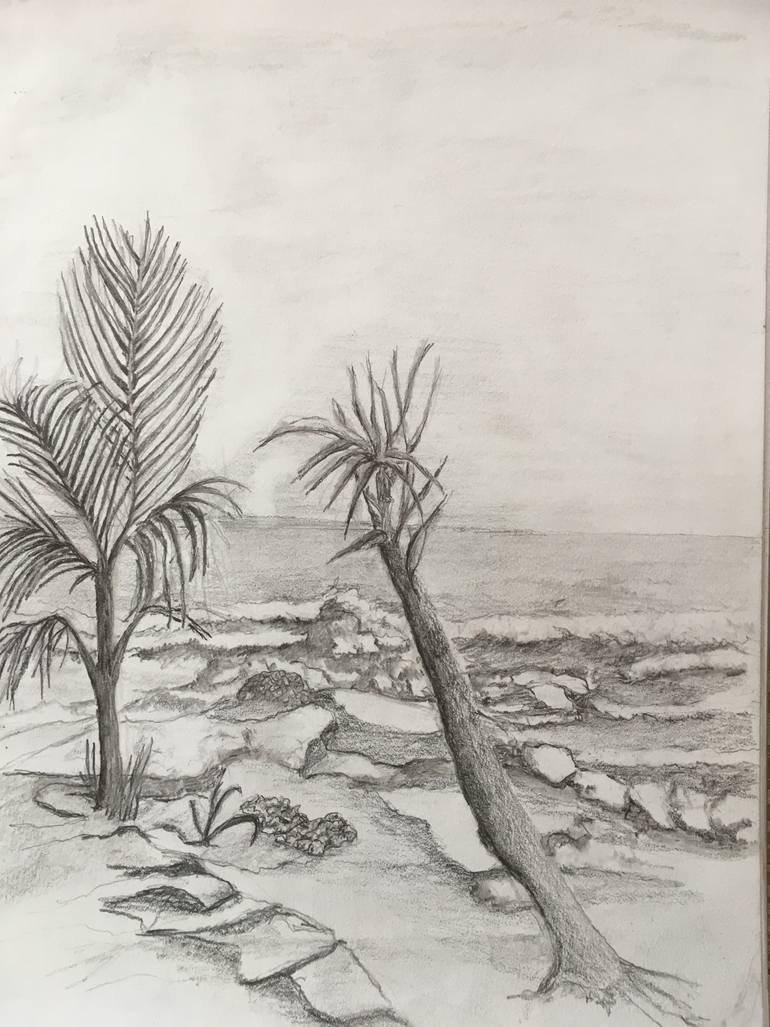 Original Documentary Other Drawing by Linda Webb-Varian