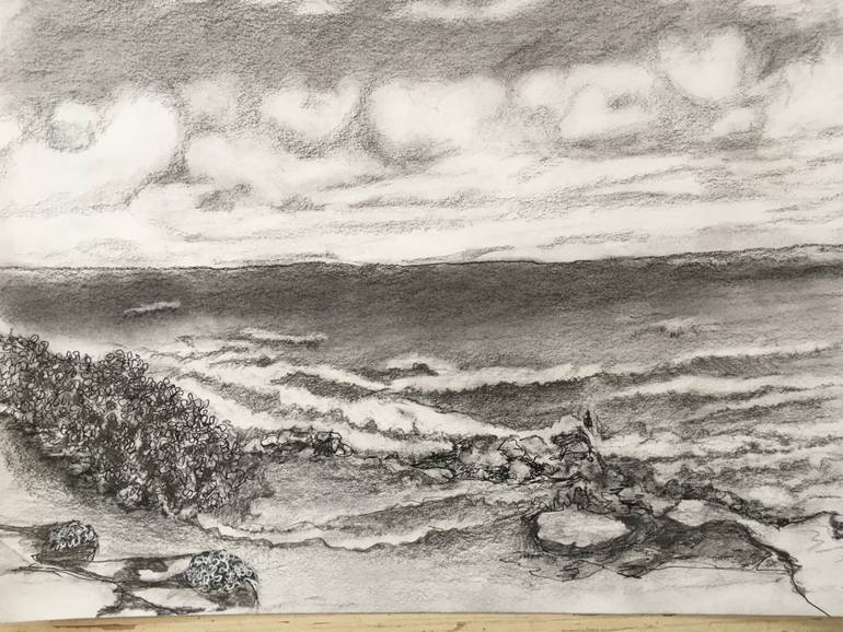 Original Documentary Other Drawing by Linda Webb-Varian