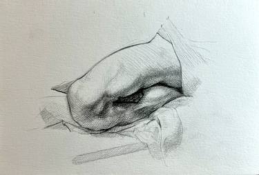 Test drawing thumb